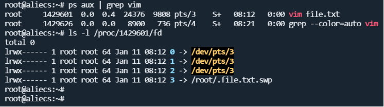 image-20230819093007728