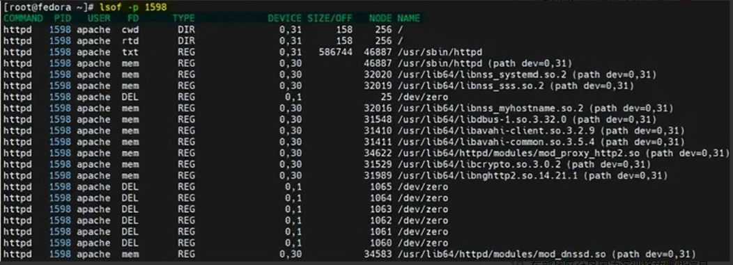 image-20230821091255229