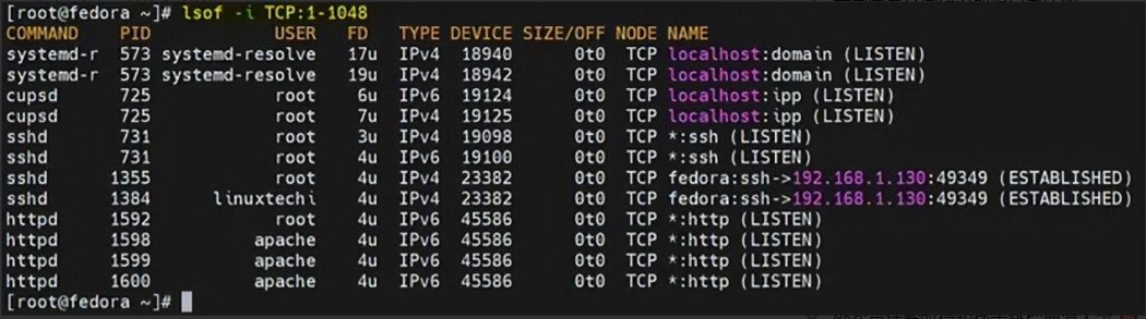 image-20230821091011643