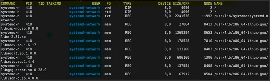 image-20230821090723062