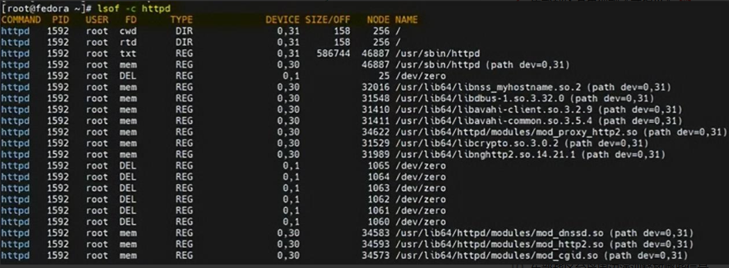 image-20230821090628333