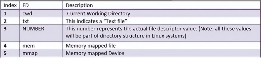 image-20230821090505916