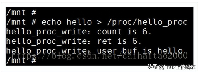 image-20230821161708246