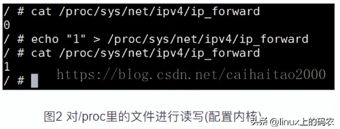 image-20230821161318526