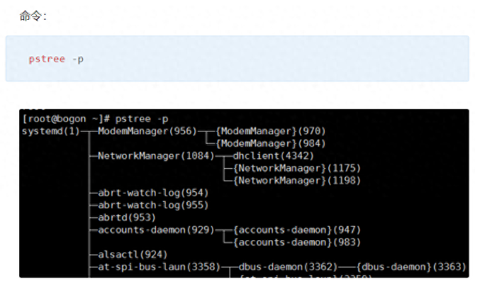 image-20230821163627851