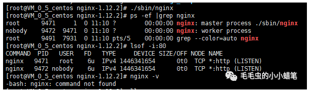 image-20230822103425542