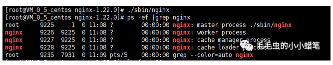 image-20230822103110062