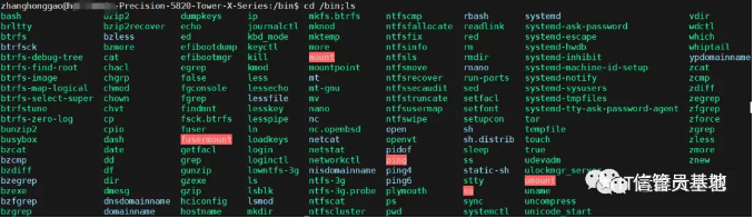 image-20230822110104027