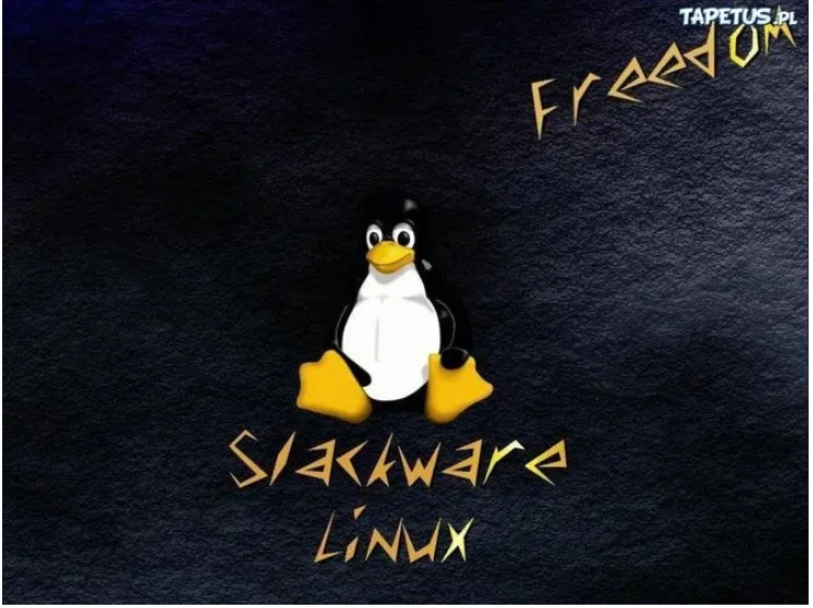 image-20230823113733994