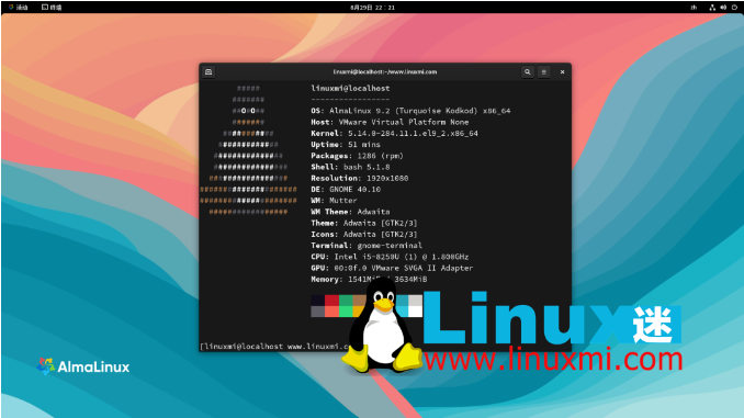 image-20230830174540139