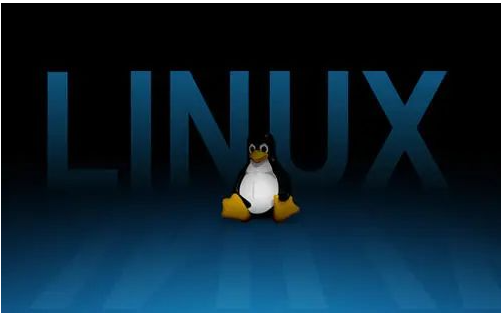 image-
阅读全文
摘要:在现代计算机操作中,快捷键已经成为了一个不可或缺的工具,特别是在使用Linux操作系统的过程中。Linux作为一个开源、免费的操作系统,受到了广泛的欢迎和使用。而在Linux中,快捷键则扮演着一个十分重要的角色,它不仅可以极大地提高操作效率,还可以使用户更加自如地与系统交互。无论是系统管理员还是普通
阅读全文
摘要:## Linux环境变量配置 ![image-20230904084509973