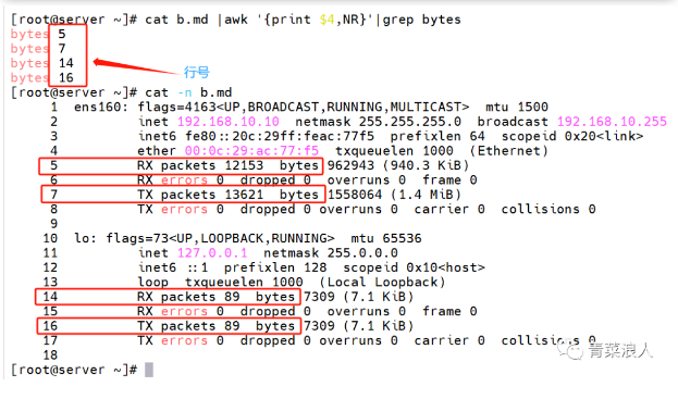 image-20231117162456311