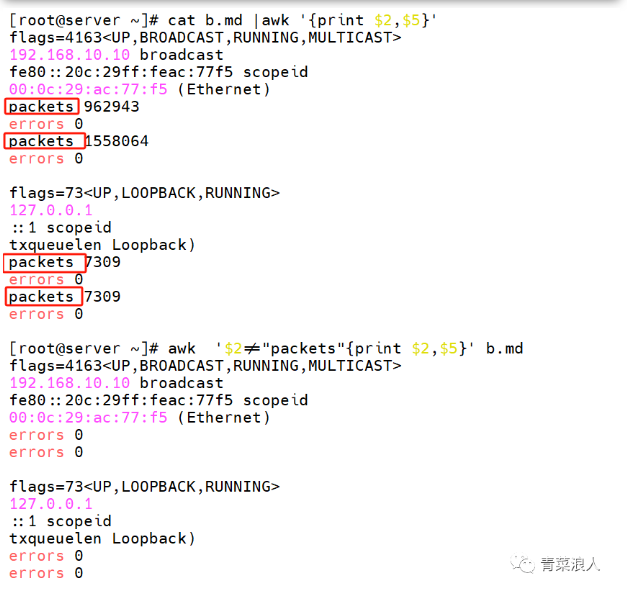 image-20231117162430952