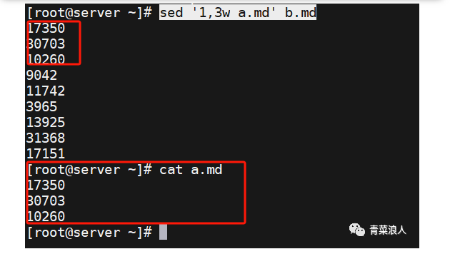 image-20231117162321837