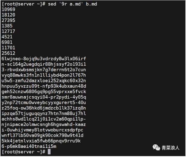 image-20231117162258718