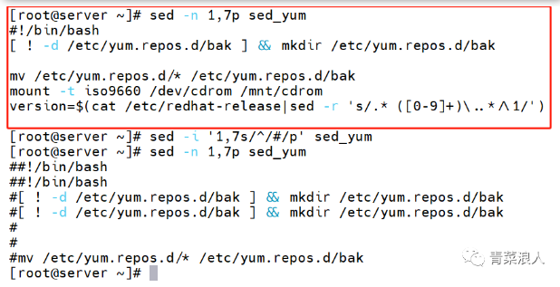 image-20231117162228053