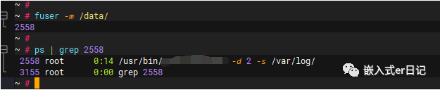 image-20231225160314745