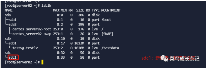 image-20231225163501071