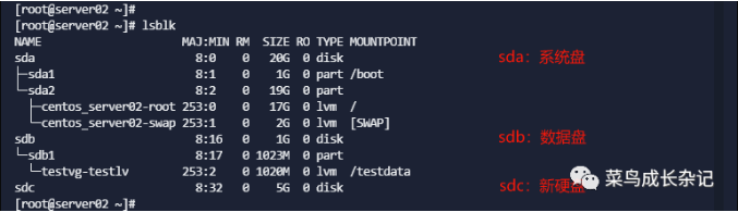 image-20231225163354374