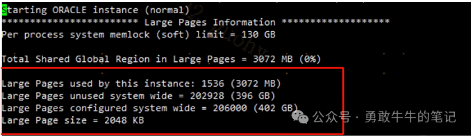 image-20240219100924962