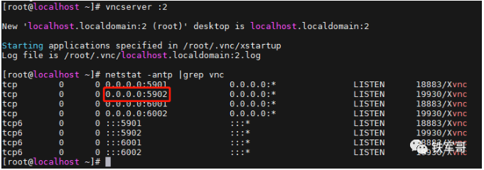 image-20240219112016586