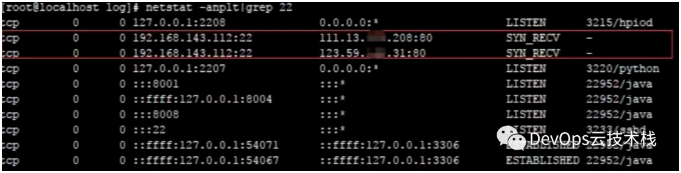 image-20240312095414830