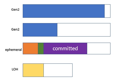 segments