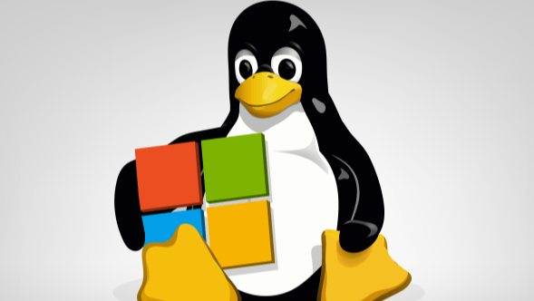 Linux常用命令用法总结