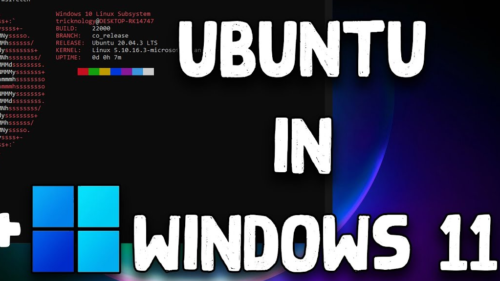 win11安装ubuntu(by wsl2)