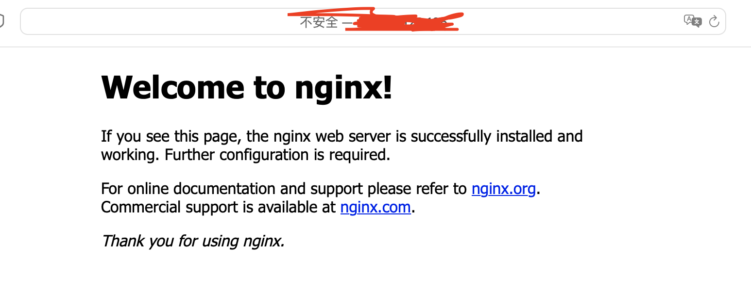 Nginx root 