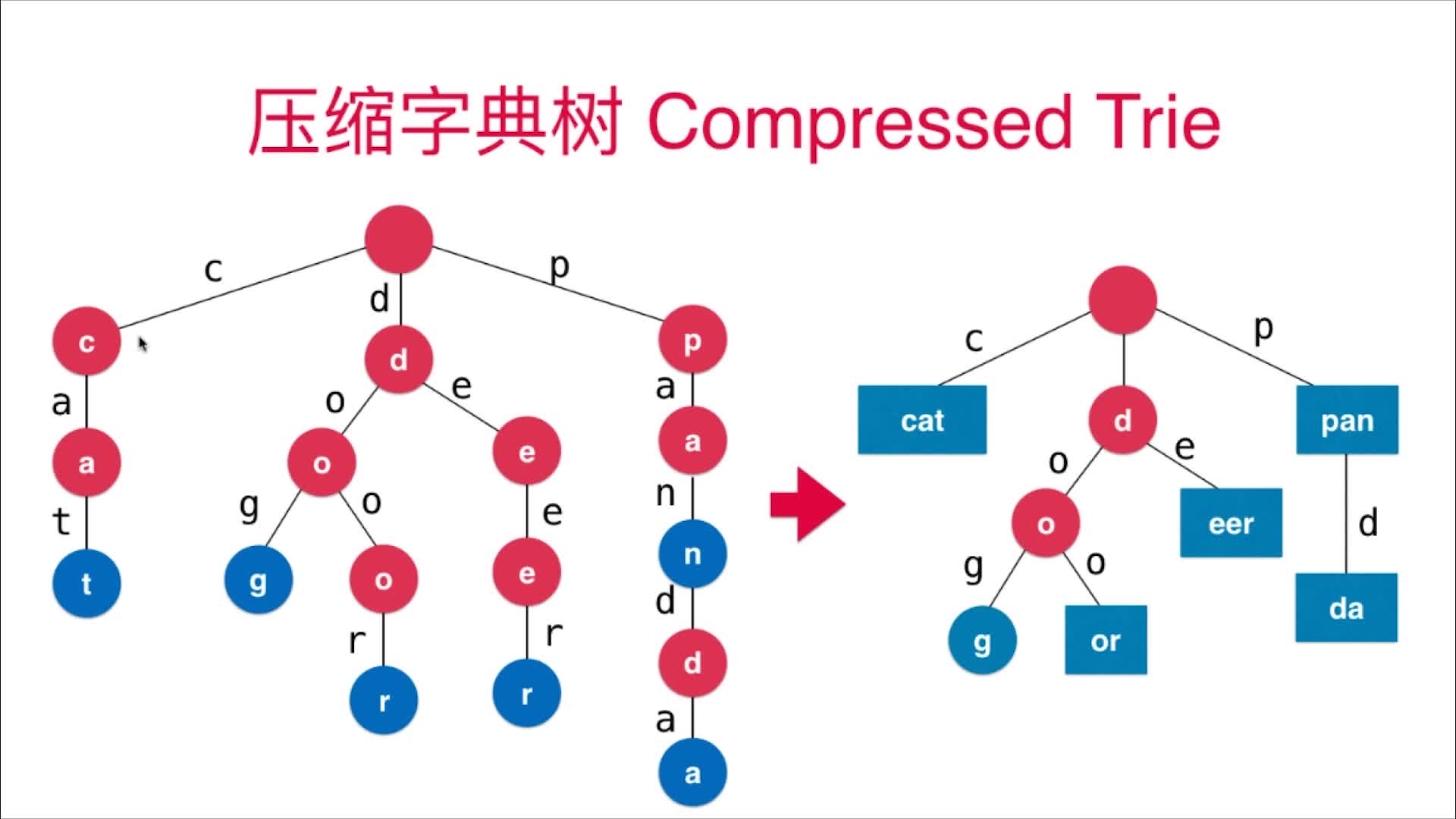 压缩字典树