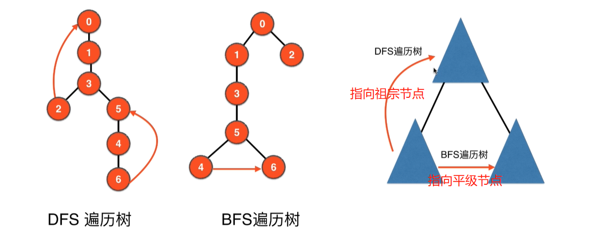 DFS遍历树和BFS遍历树的对比