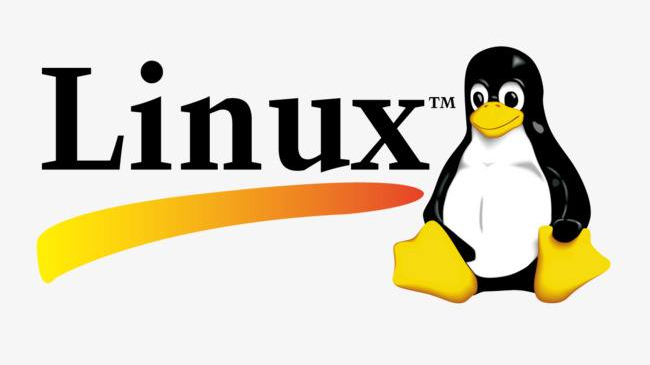 Linux笔记03: Linux常用命令_3.1命令的基本格式