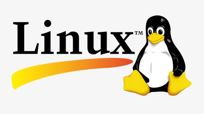 Linux笔记03: Linux常用命令_3.3文件操作命令