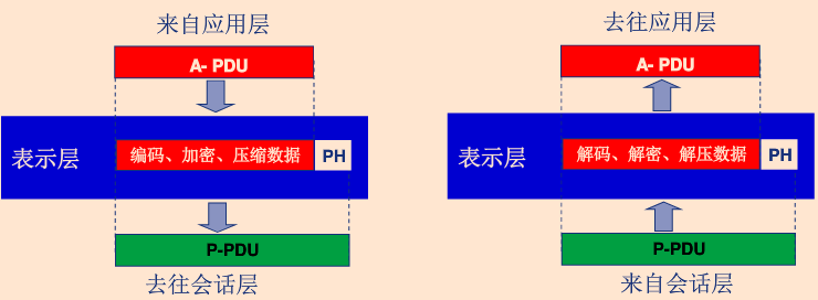 将应用层发来的数据，构造表示层协议数据单元交给会话层传输