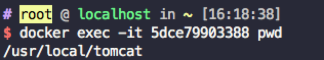 使用docker exec -it 2b725c3734a2 pwd是可以输出该命令的结果的
