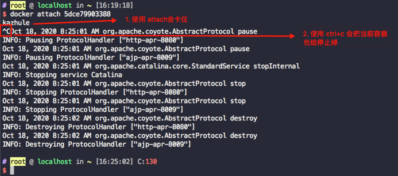 使用docker attach  2b725c3734a2:会直接卡死