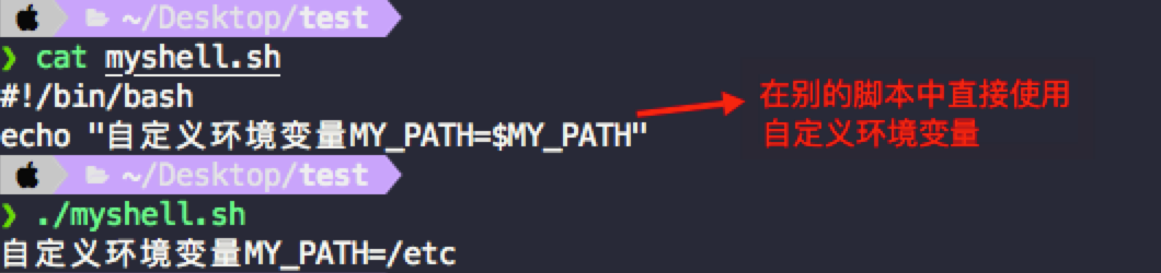 4. 在脚本中直接使用改环境变量
