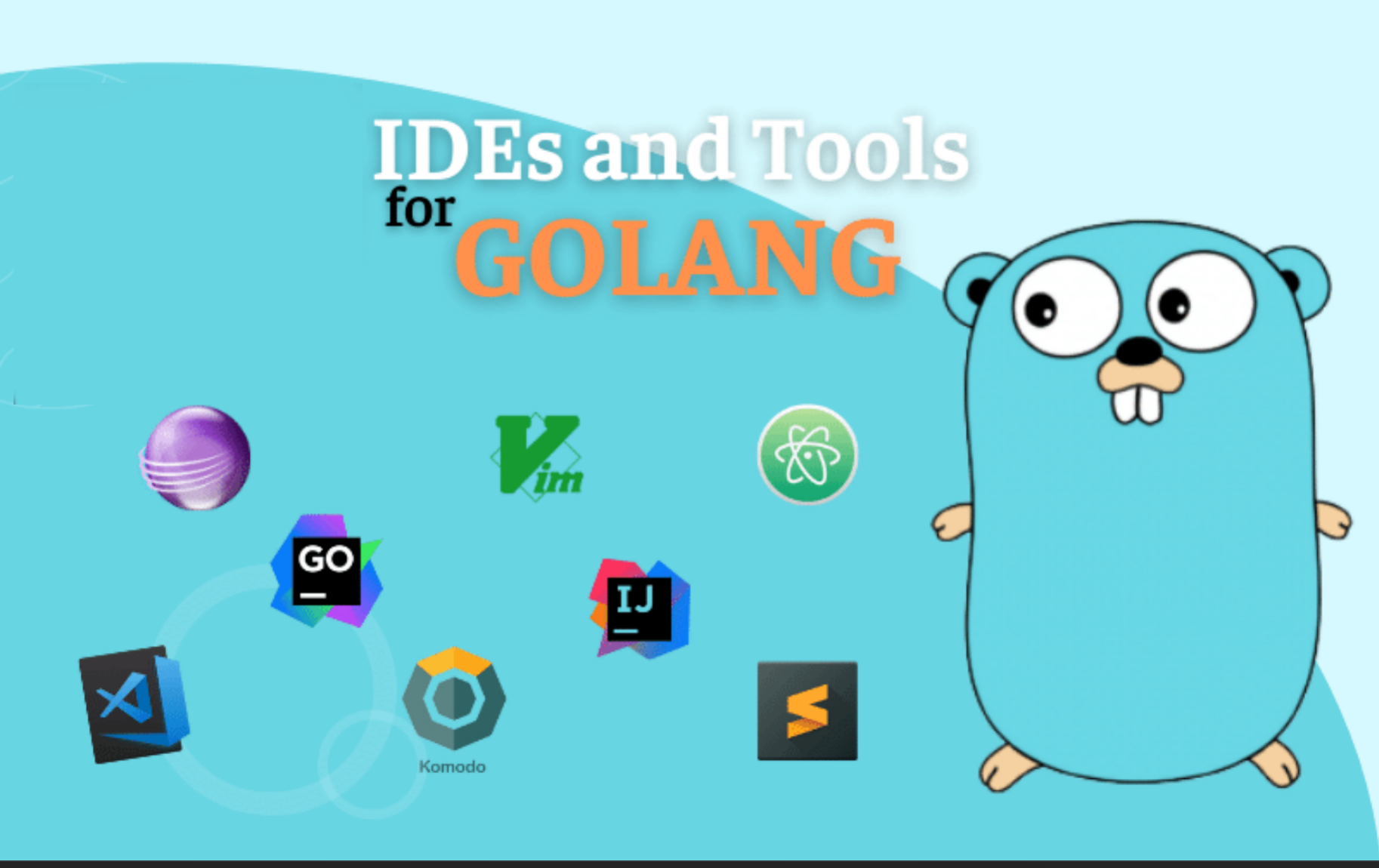 Go开发IDE全览：GoLand vs VSCode全面解析